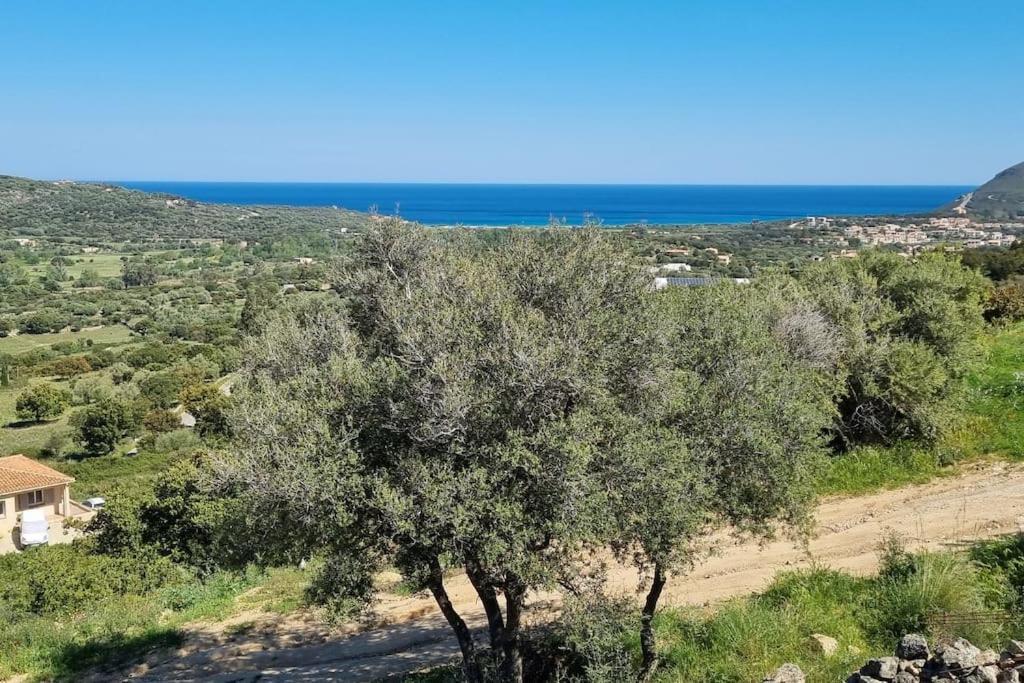 Charmant Petit Logement A 3 Kms De La Plage ベルゴデール エクステリア 写真