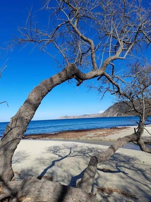 Charmant Petit Logement A 3 Kms De La Plage ベルゴデール エクステリア 写真