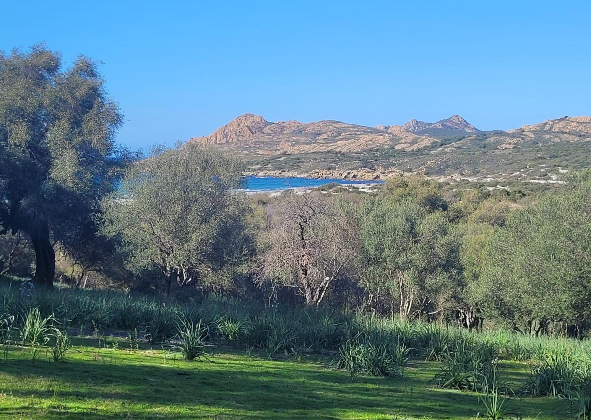 Charmant Petit Logement A 3 Kms De La Plage ベルゴデール エクステリア 写真